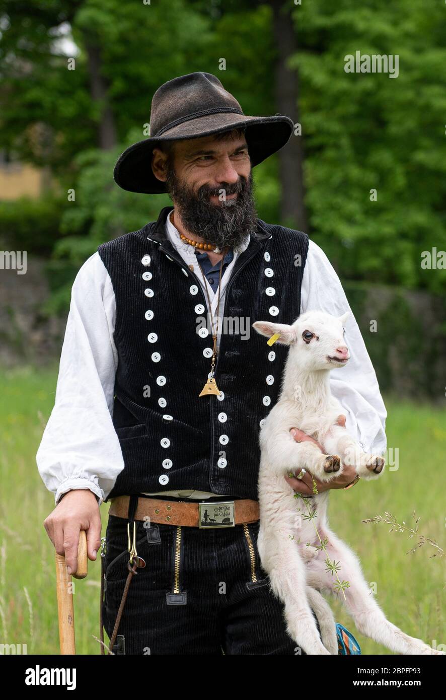 Potsdam, Germany. 19th May, 2020. Shepherd Alex Beer holds a lamb in his arms when the sheep arrive in Sanssouci Park. From May to November a total of 30 sheep are to graze the meadows in the park. Credit: Fabian Sommer/dpa/ZB/dpa/Alamy Live News Stock Photo