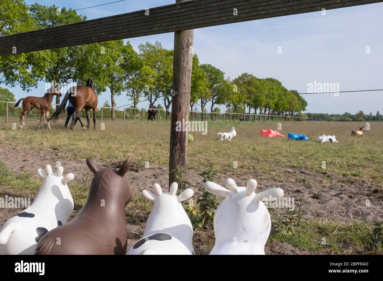 real horse toys