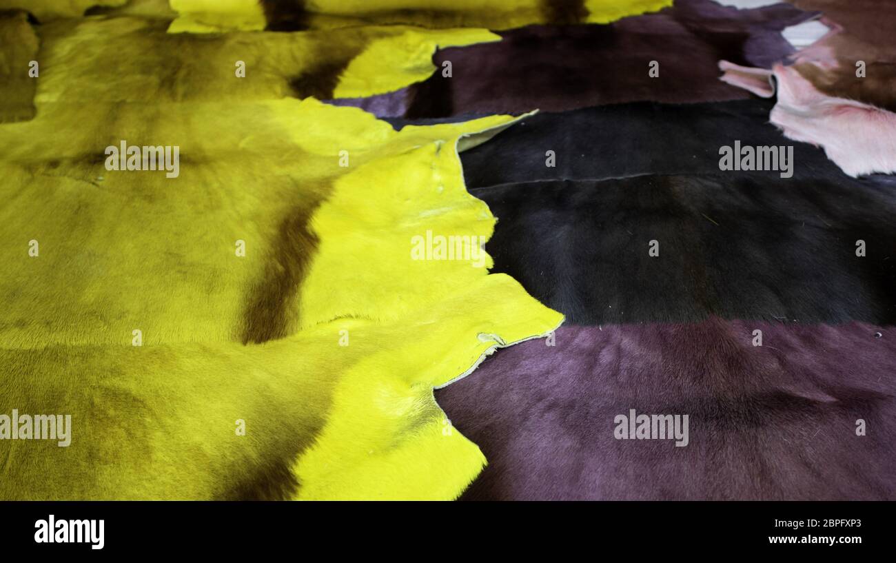 Animal skins hi-res stock photography and images - Alamy