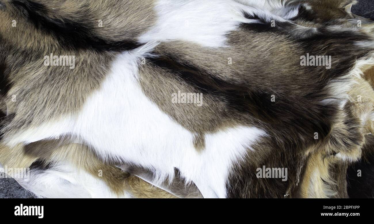 Natural animal skins in fur, fashion accessories, blankets Stock Photo