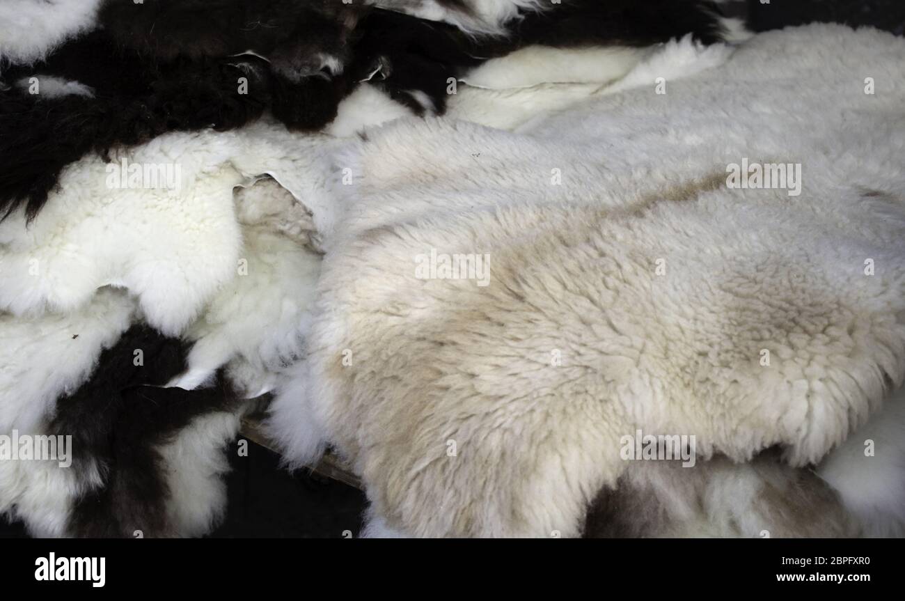 Natural animal skins in fur, fashion accessories, blankets Stock Photo