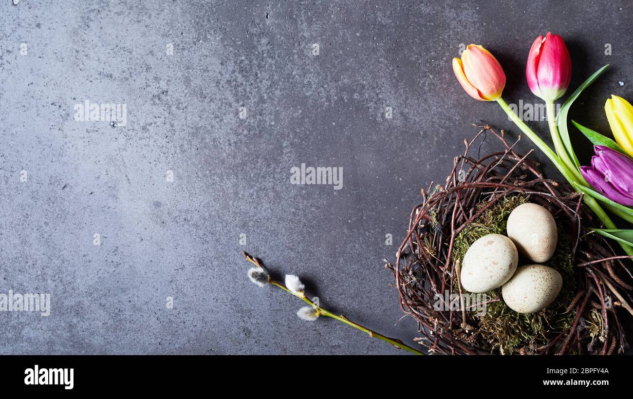 Eggs in decorative nest and flowers with copy space Easter spring ...