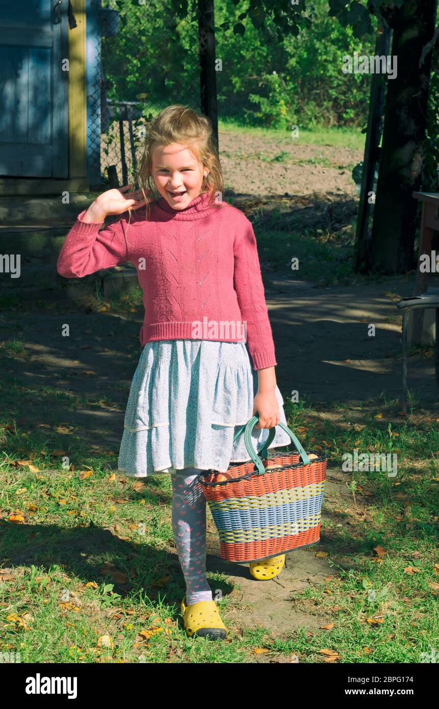 Village little girl smiles and holds a basket of garden apples in her hand Stock Photo