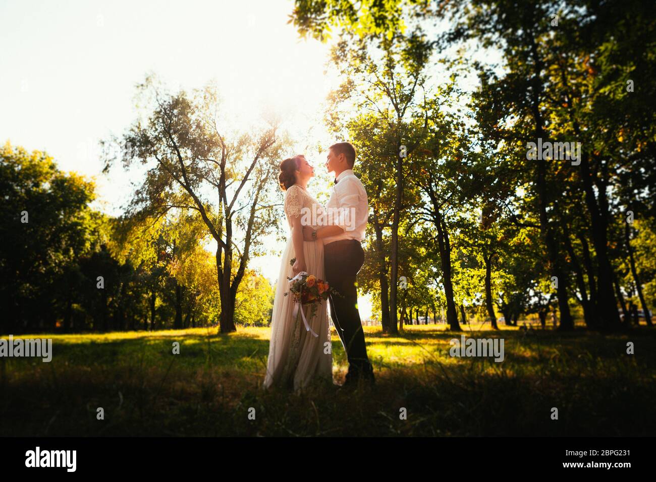 The bride and groom in the background of park trees Stock Photo - Alamy