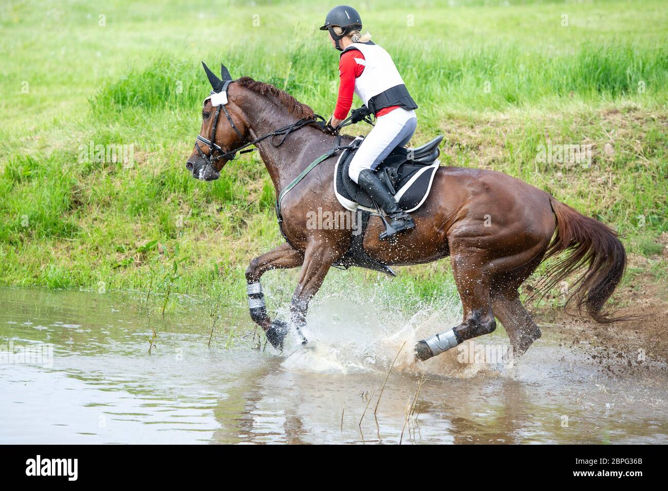 Eventing: equestrian rider jumping over an a log fence obstacle Stock Photo