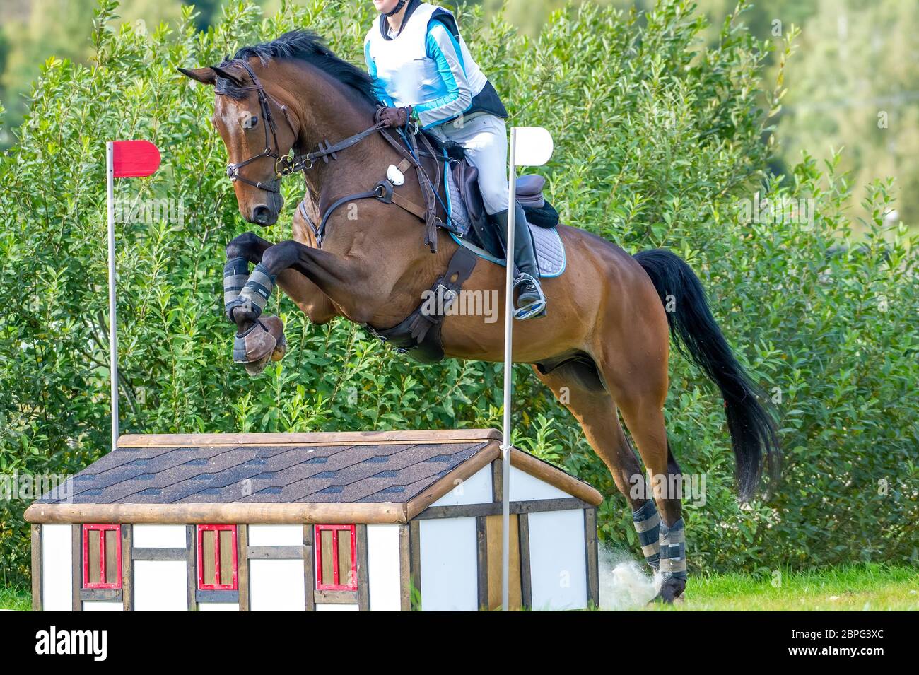 Eventing: equestrian rider jumping over an a log fence obstacle Stock Photo