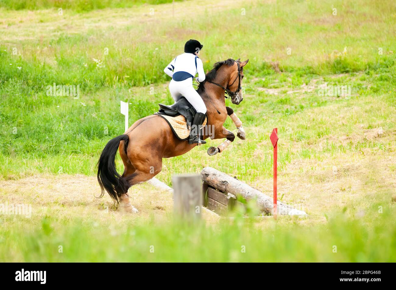 Eventing: equestrian rider jumping over an a log fence obstacle Stock Photo