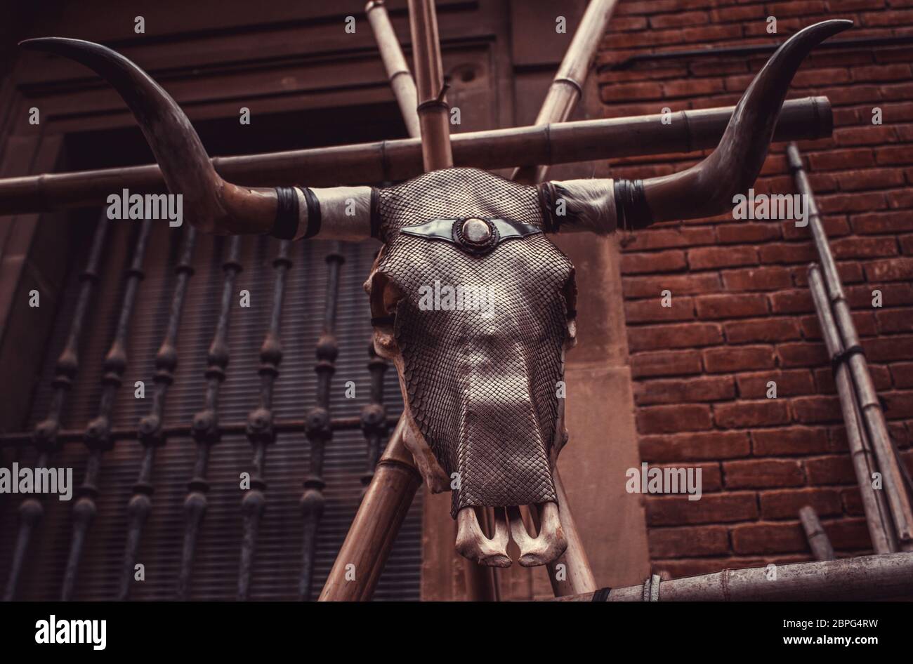 Goat skull in tent of campaign India, animals and symbols Stock Photo