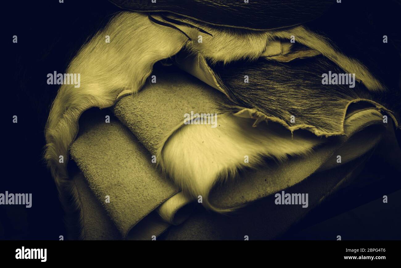 Natural animal skins in fur, fashion accessories, blankets Stock Photo