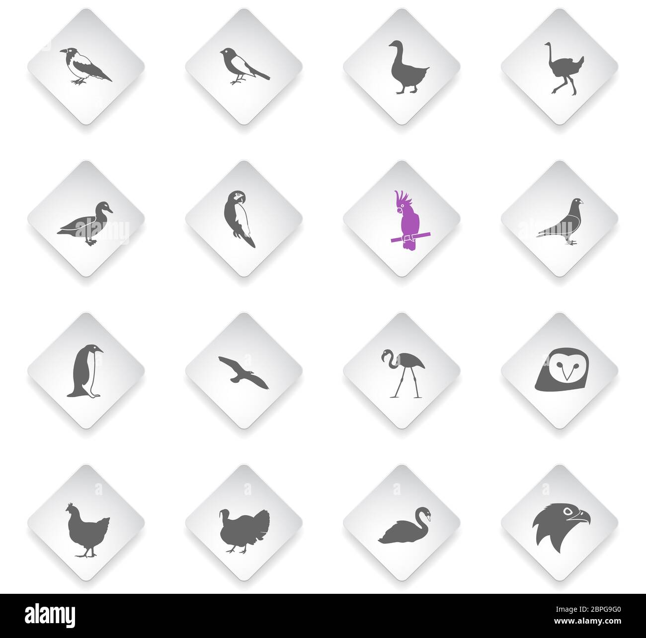 birds flat rhombus web icons for user interface design Stock Photo - Alamy
