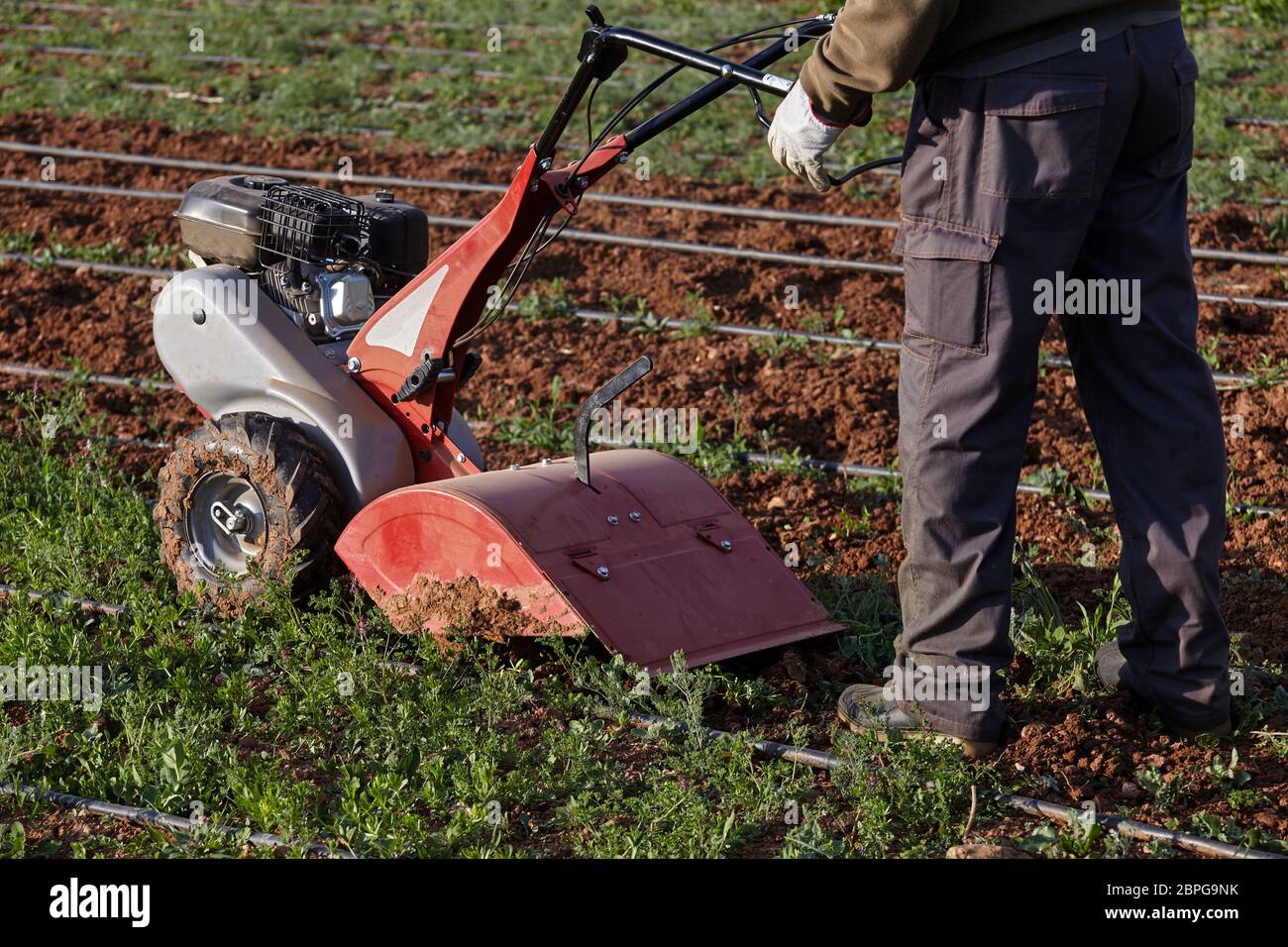 farmer works with a digging machine. Stock Photo