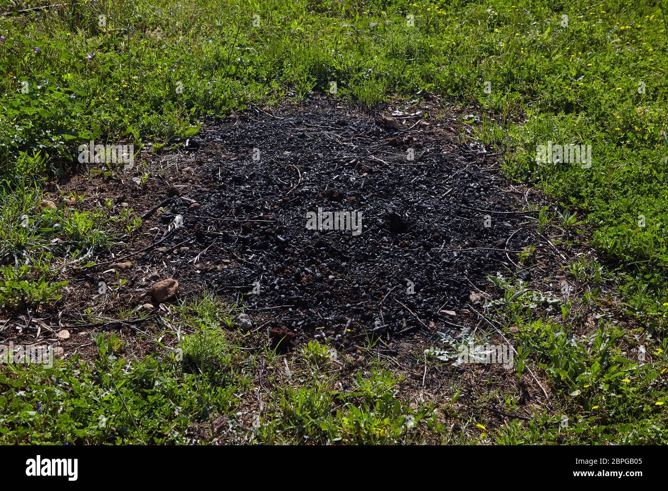 Burning tree branches hi-res stock photography and images - Alamy