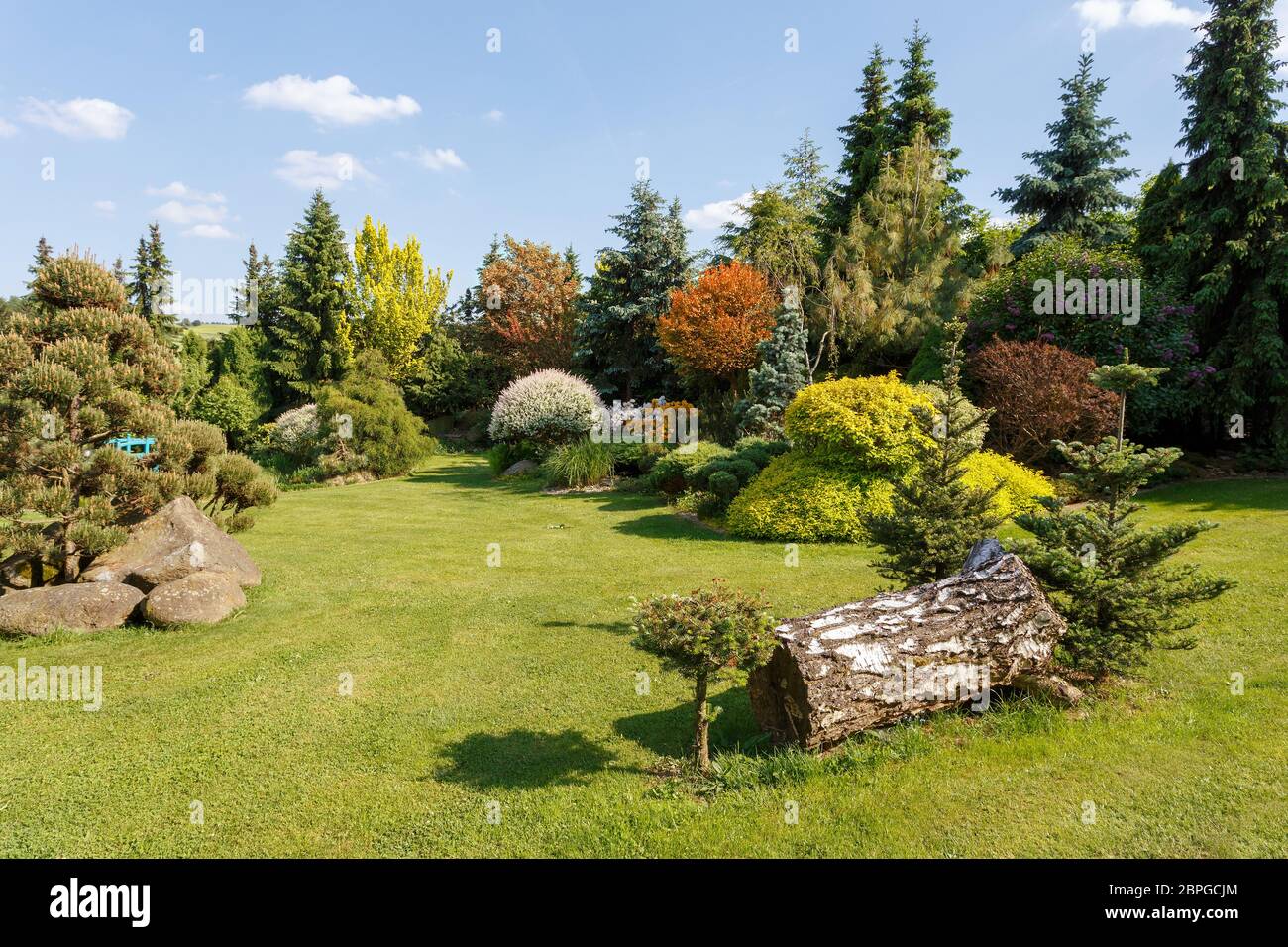 evergreen gardening evergreen gardening