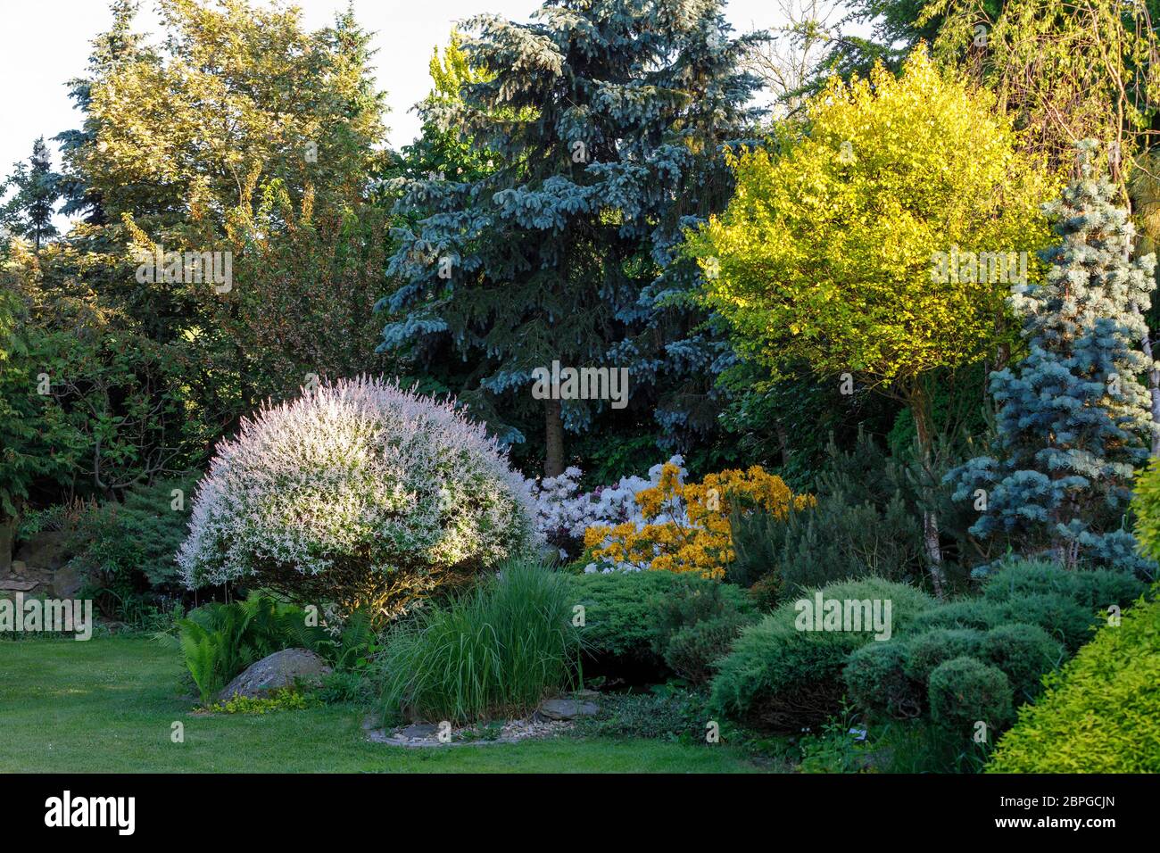 evergreen gardening evergreen gardening