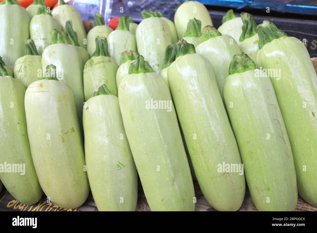 Green zucchini. Vegetables pattern. Stock Photo