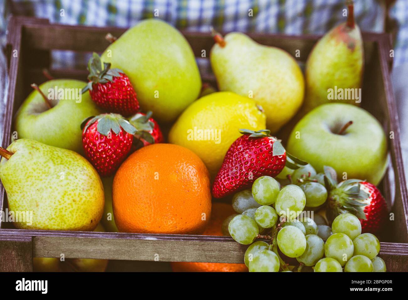 Fresh fruit. Farmer with bowl of fruit.s. Fruit basket. Stock Photo