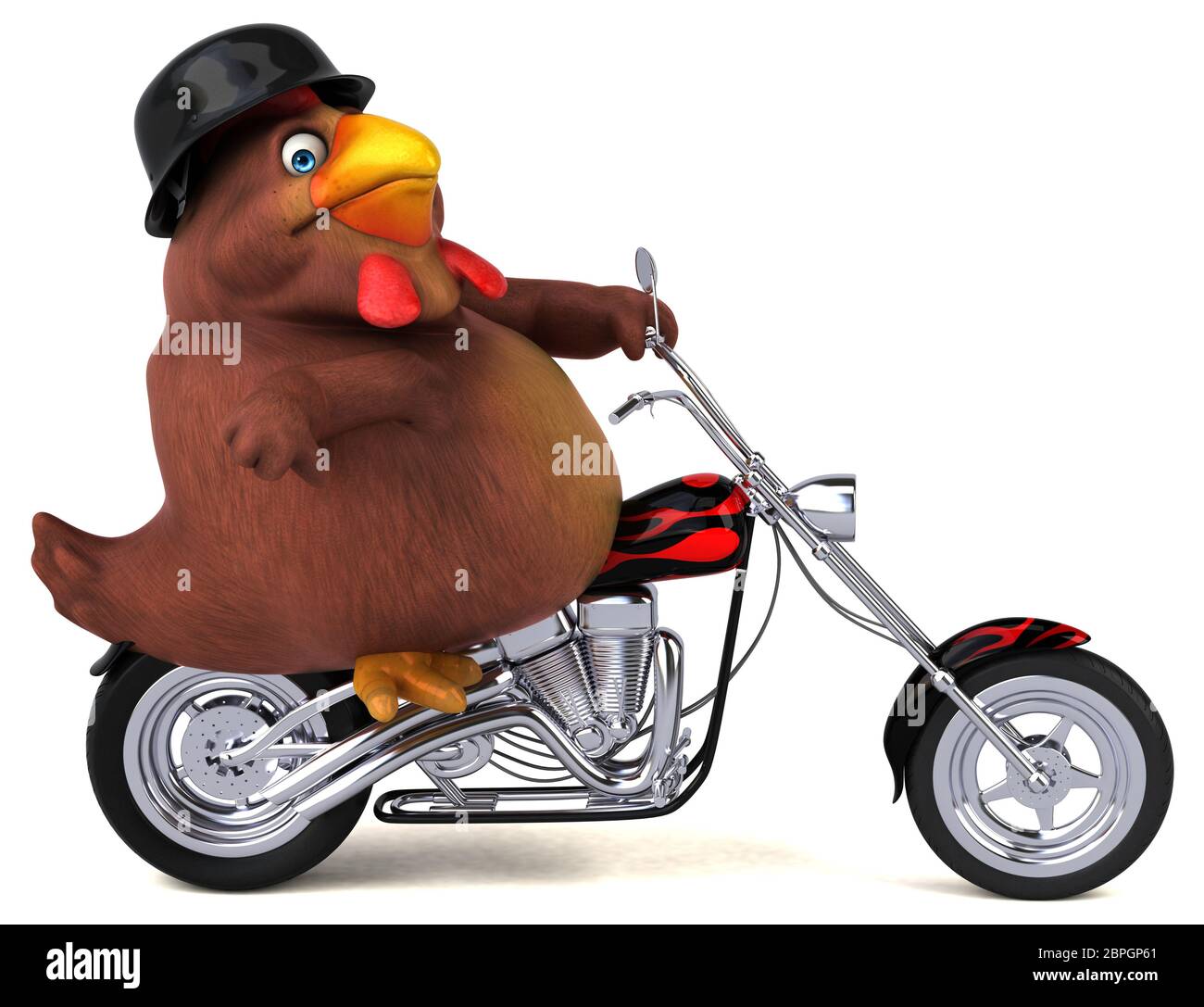 Chicken Racing High Resolution Stock Photography and Images - Alamy