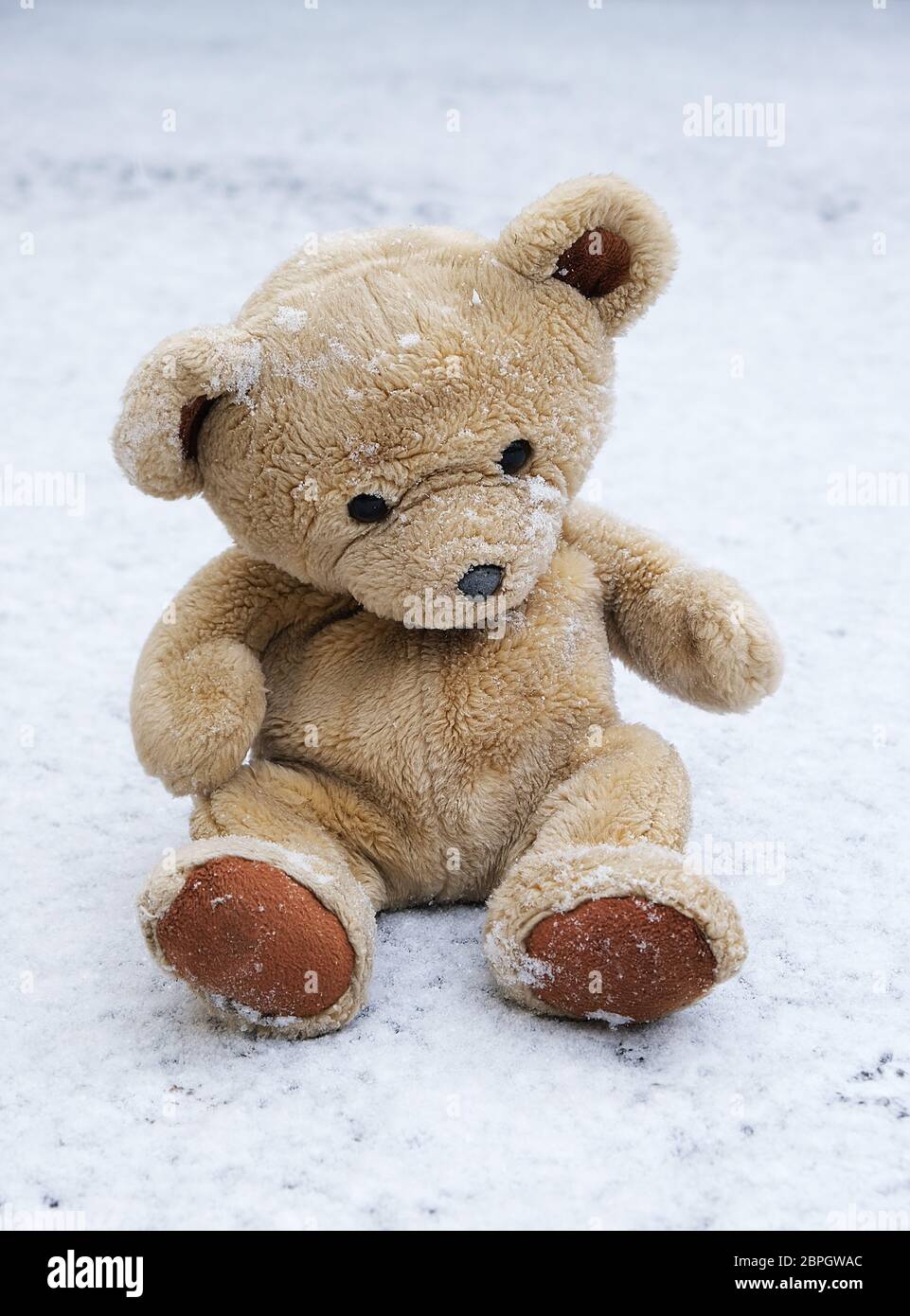 old teddy bear sits on white snow, winter day Stock Photo - Alamy
