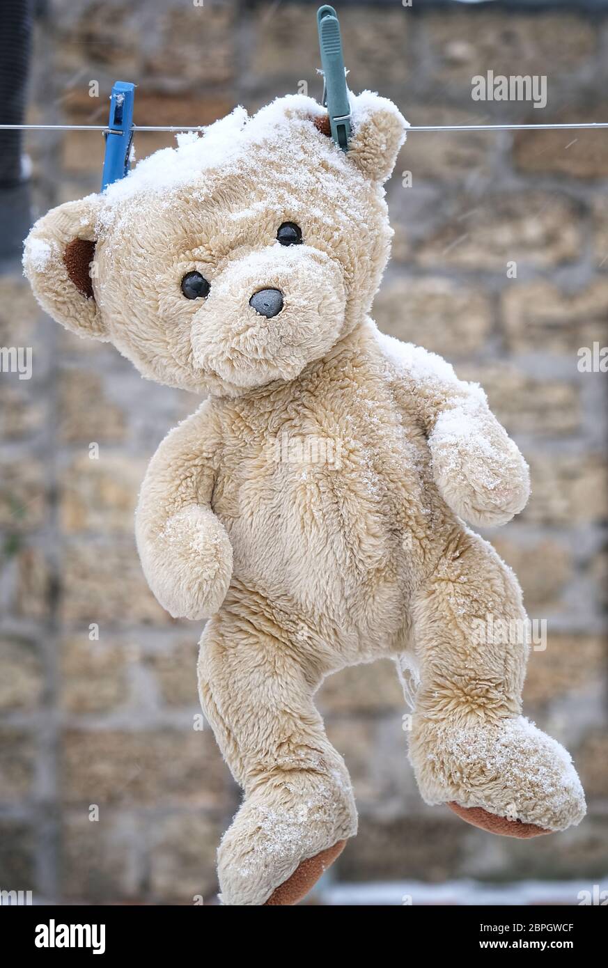 old teddy bear hanging on a clothesline on a snowy winter day Stock ...