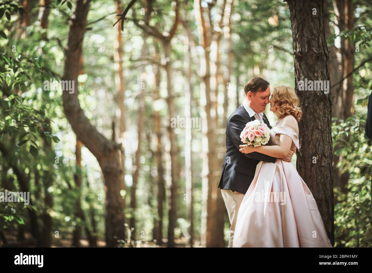 bride and groom kiss on the background of trees and forest Stock Photo ...