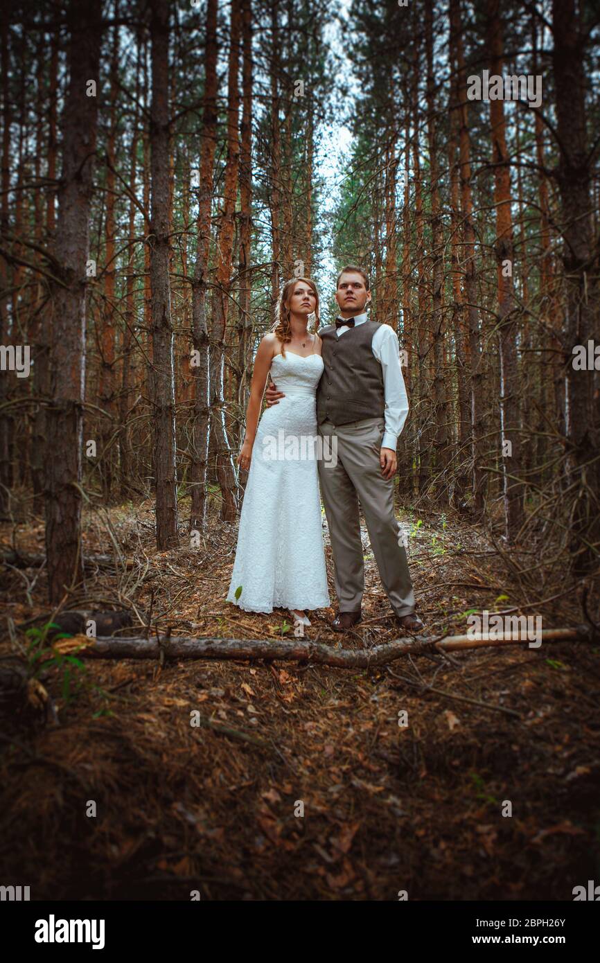 bride and groom in the forest of firs Stock Photo - Alamy