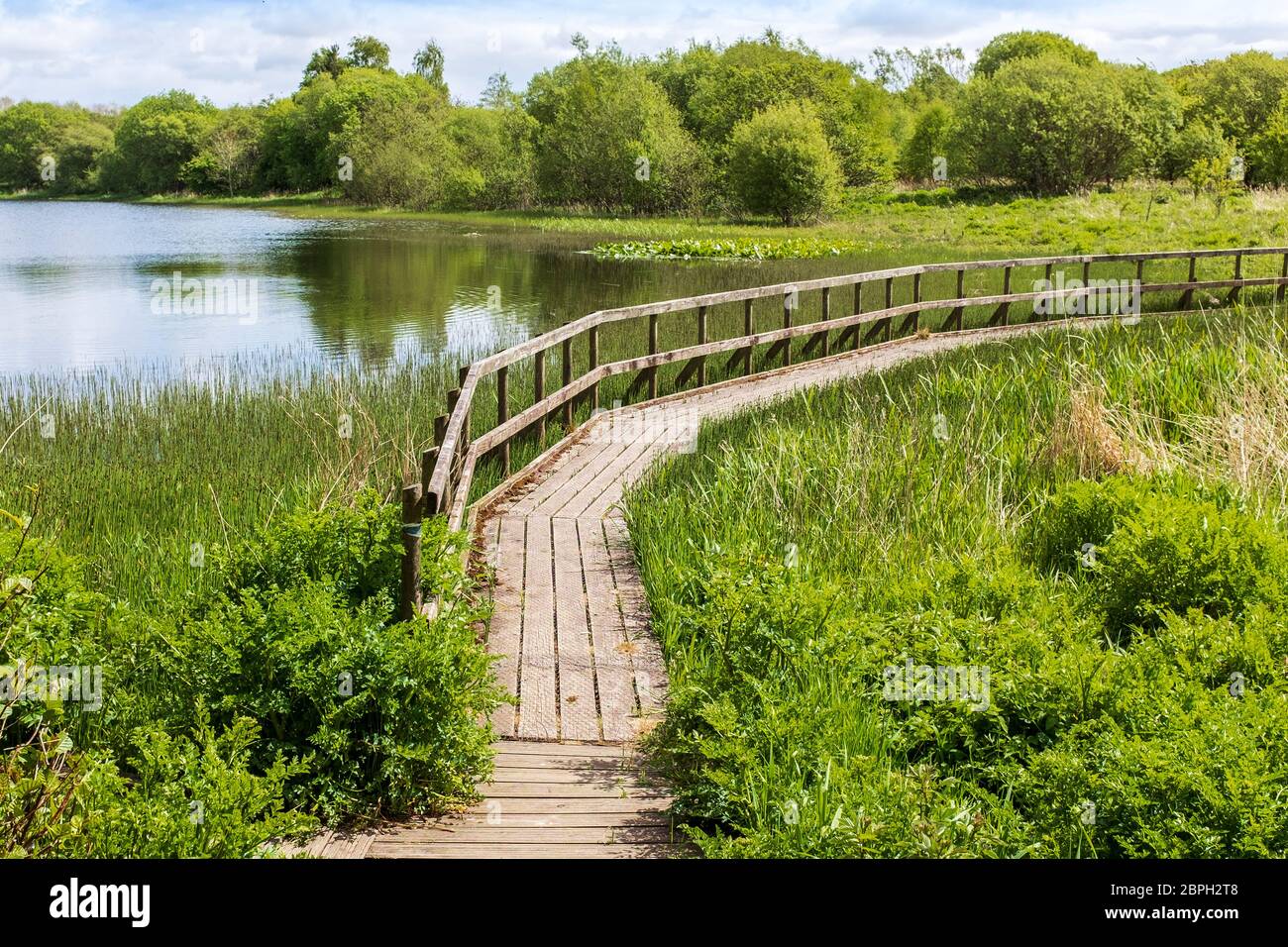 Wooden walkway across a small fishing lake, near Kilwinning, Ayrshire, Scotland, UK Stock Photo