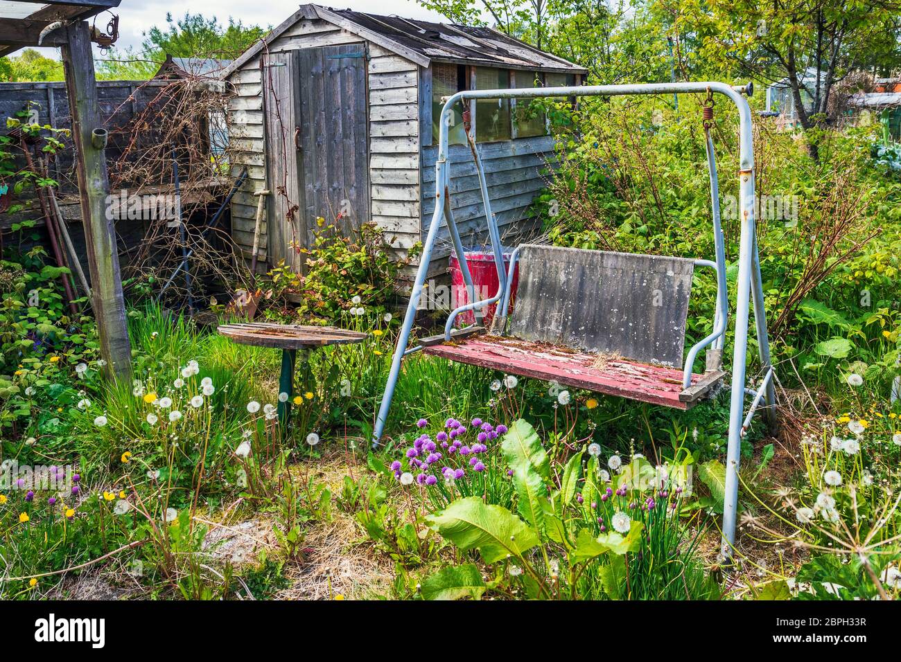 Overgrown allotment with discarded garden swing and wooden shed, Kilwinning, Ayrshire, Scotland Stock Photo