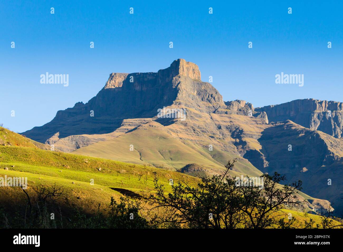 South African landmark, Amphitheatre from Royal Natal National Park ...