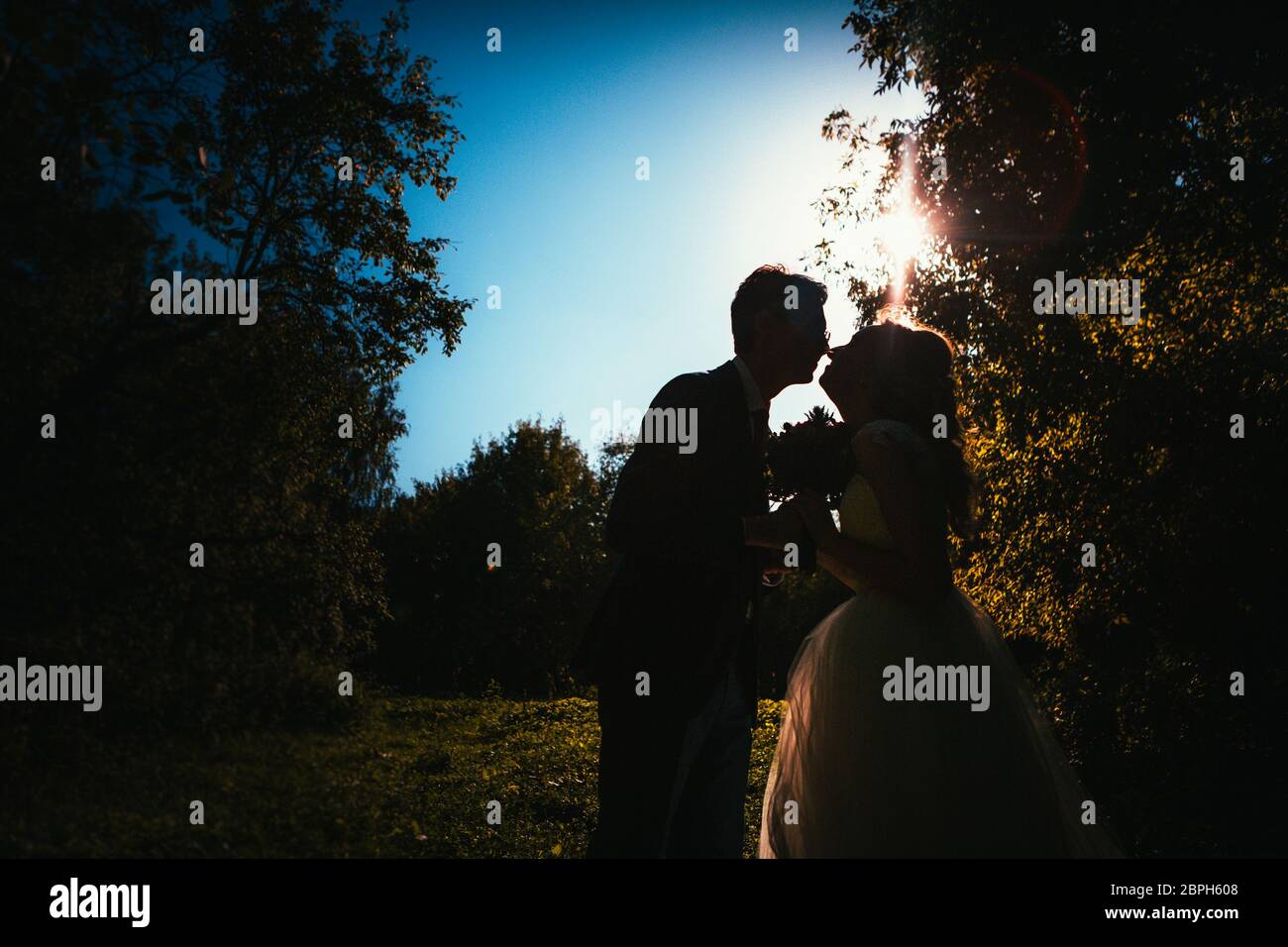 bride and groom silhouettes on the background of the sky park Stock ...