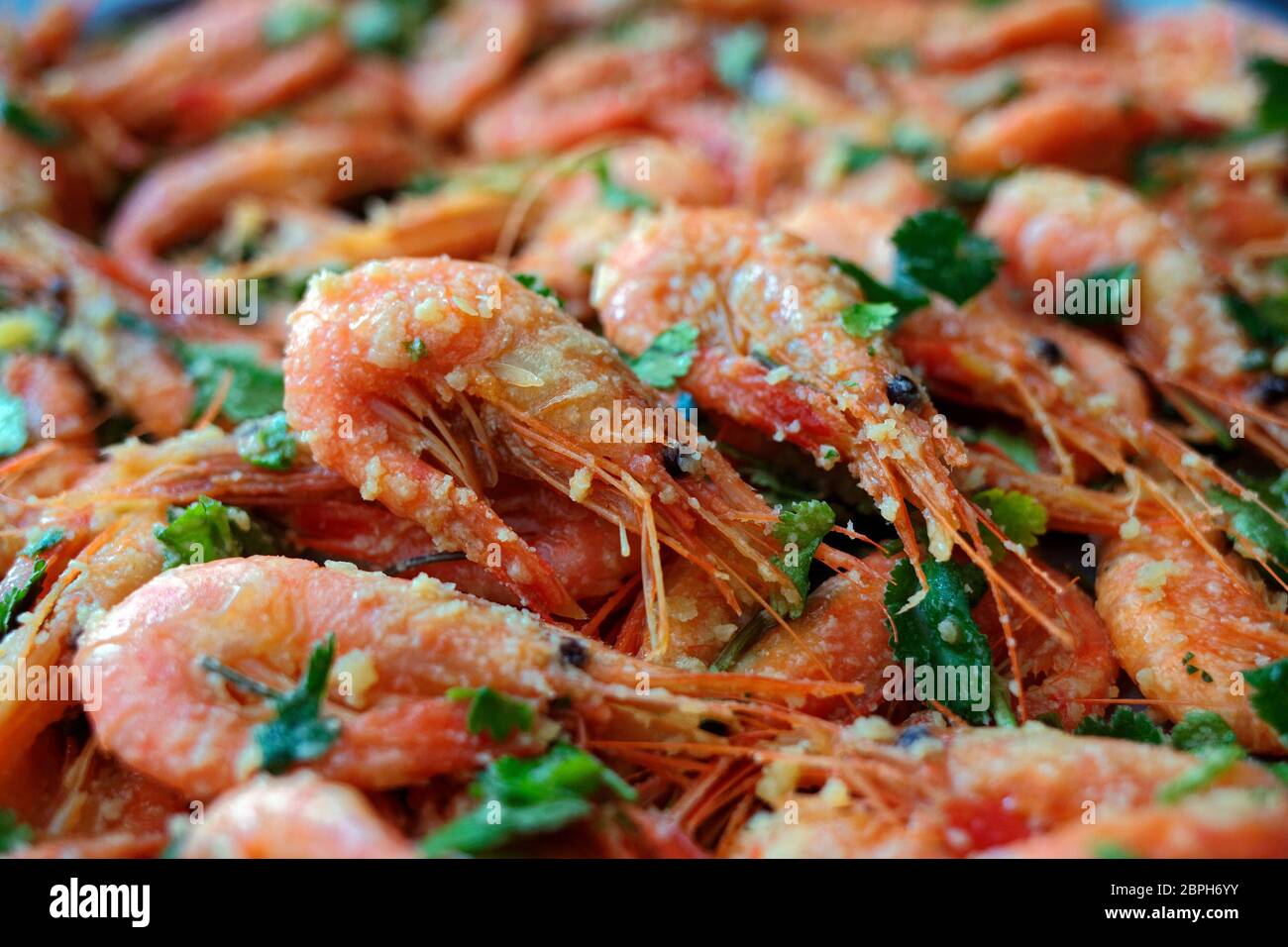 Fresh boiled prawns with coriander. A delicious dish of seafood Stock