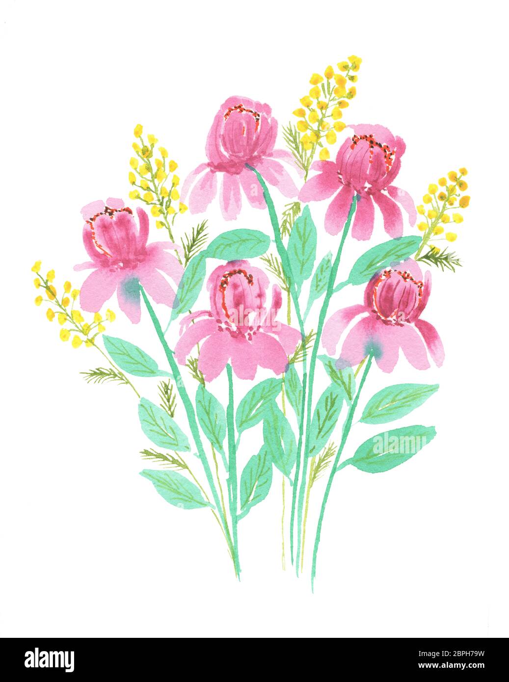 Watercolor Png Files Stock Photo Alamy