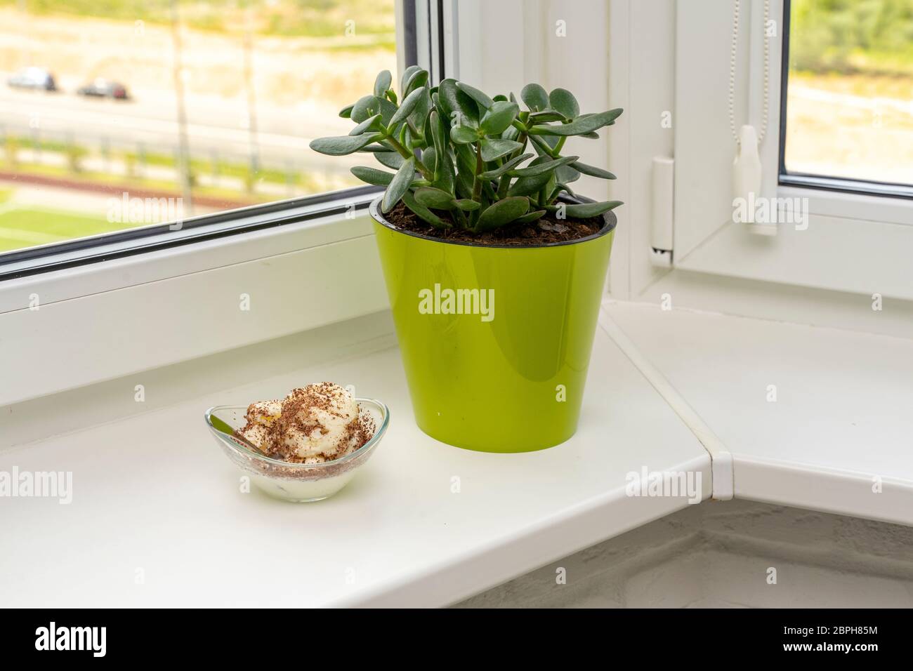 Bowl with delicious vanilla ice cream sprinkled with chocolate chips with a spoon on the windowsill on a light background. near a flower in a green po Stock Photo