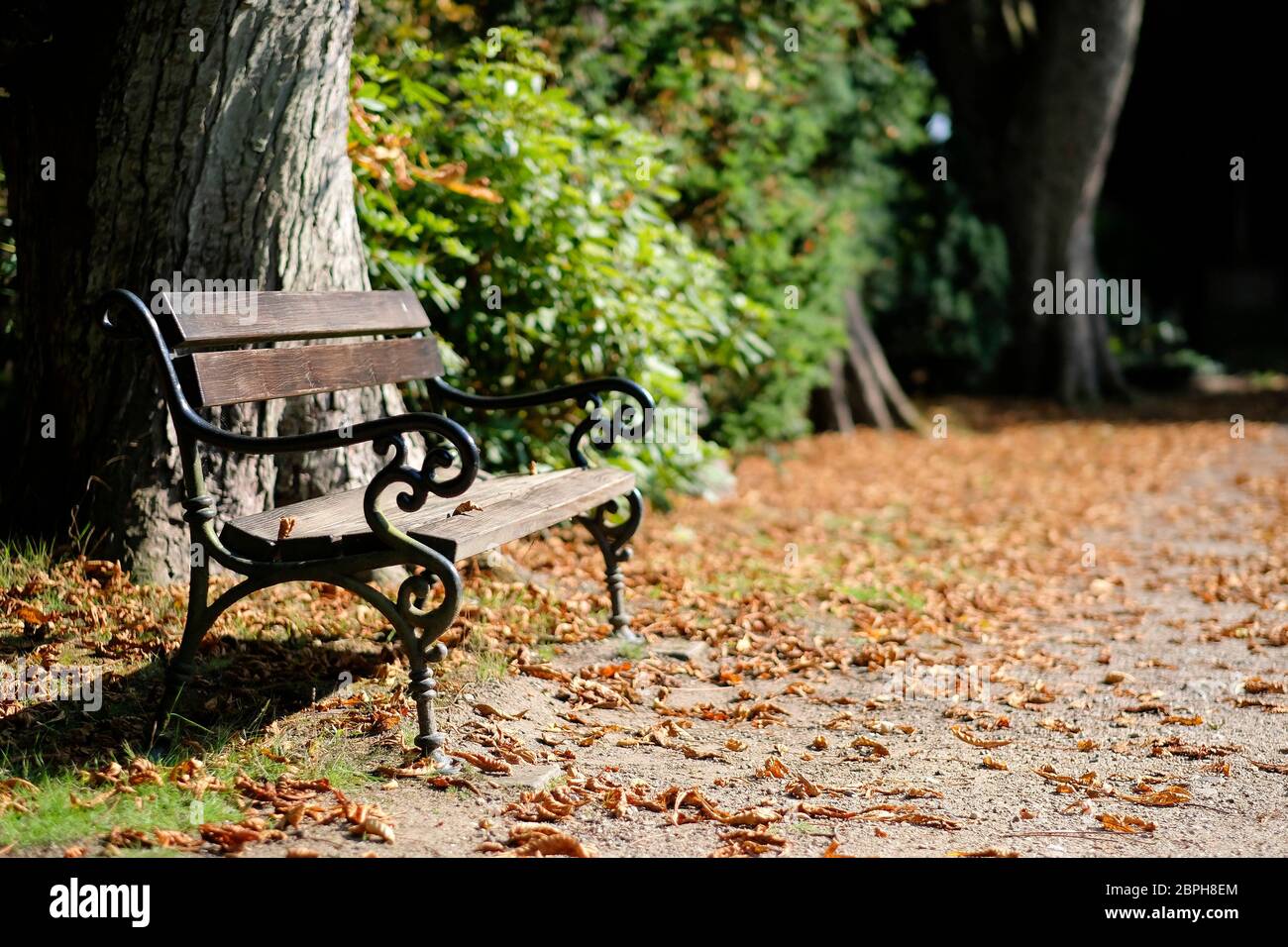 Sitzbank in einem Friedhofspark im Herbst Stock Photo