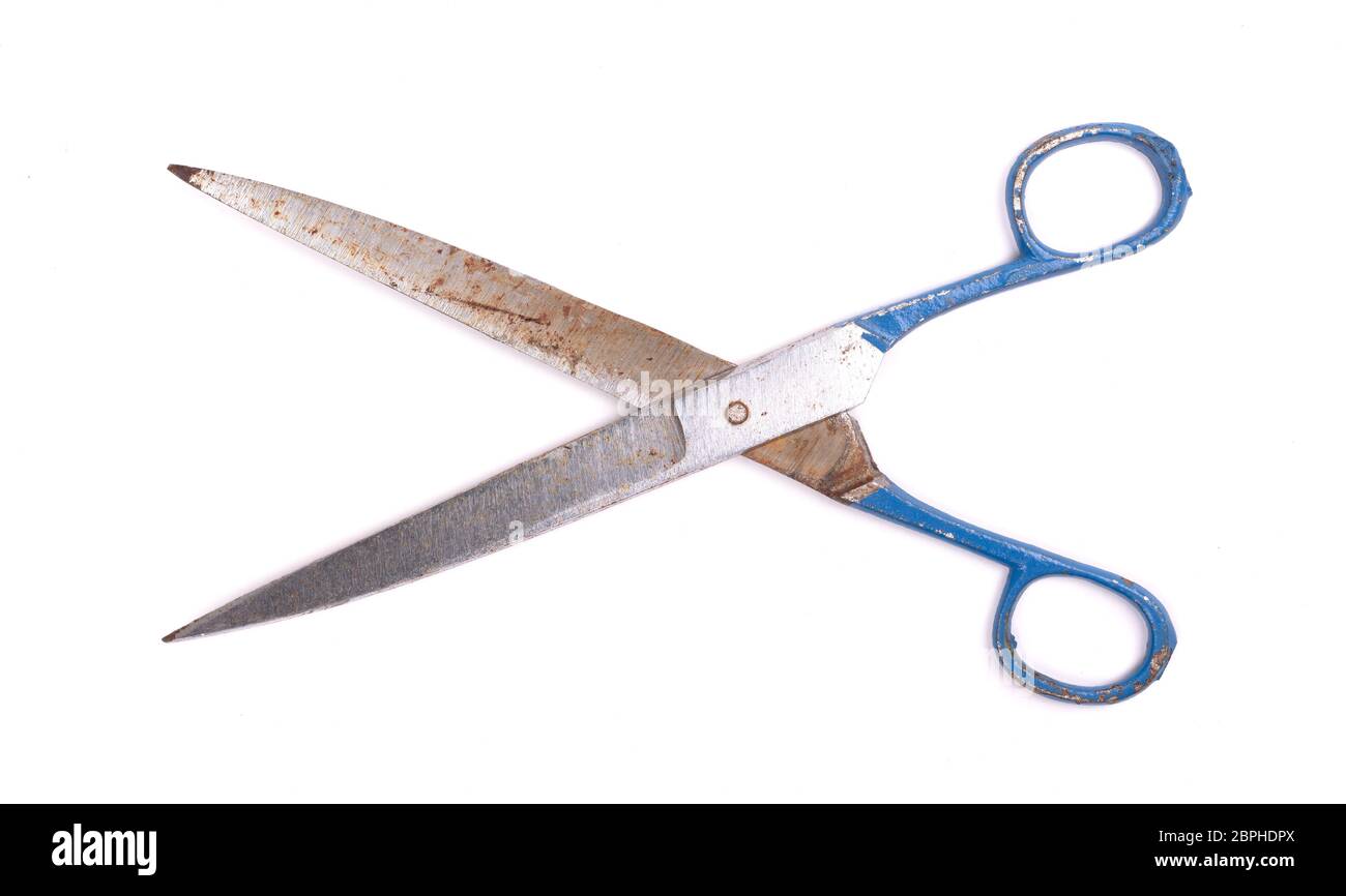 Large kitchen scissors isolated on a white background Stock Photo - Alamy
