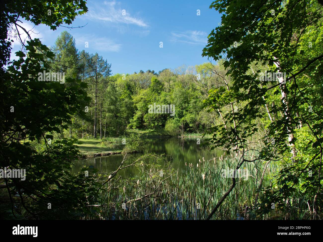 Ticknal Lime yards Nature Reserve. Calk South Derbyshire/ North West Leicestershire. Stock Photo