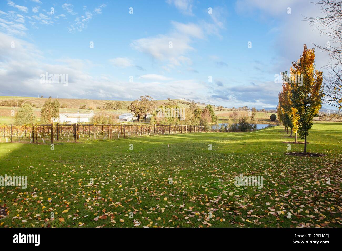 Coldstream Hills Cellar Door in Australia Stock Photo Alamy