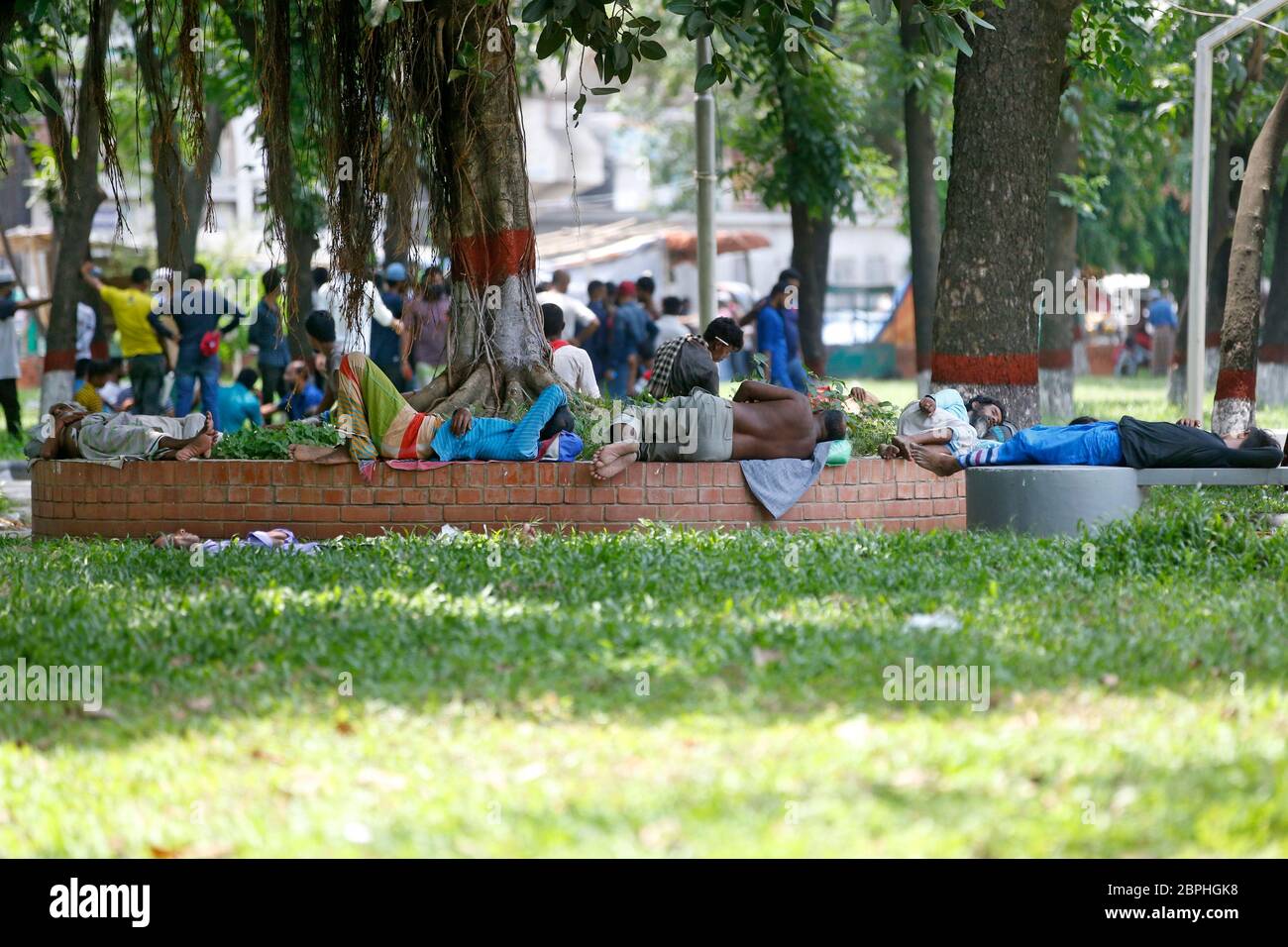 In a desperate effort to hide from the glaring sun, several men lie down under the shade of a tree in the capital’s Gulistan Park, finding litte respi Stock Photo