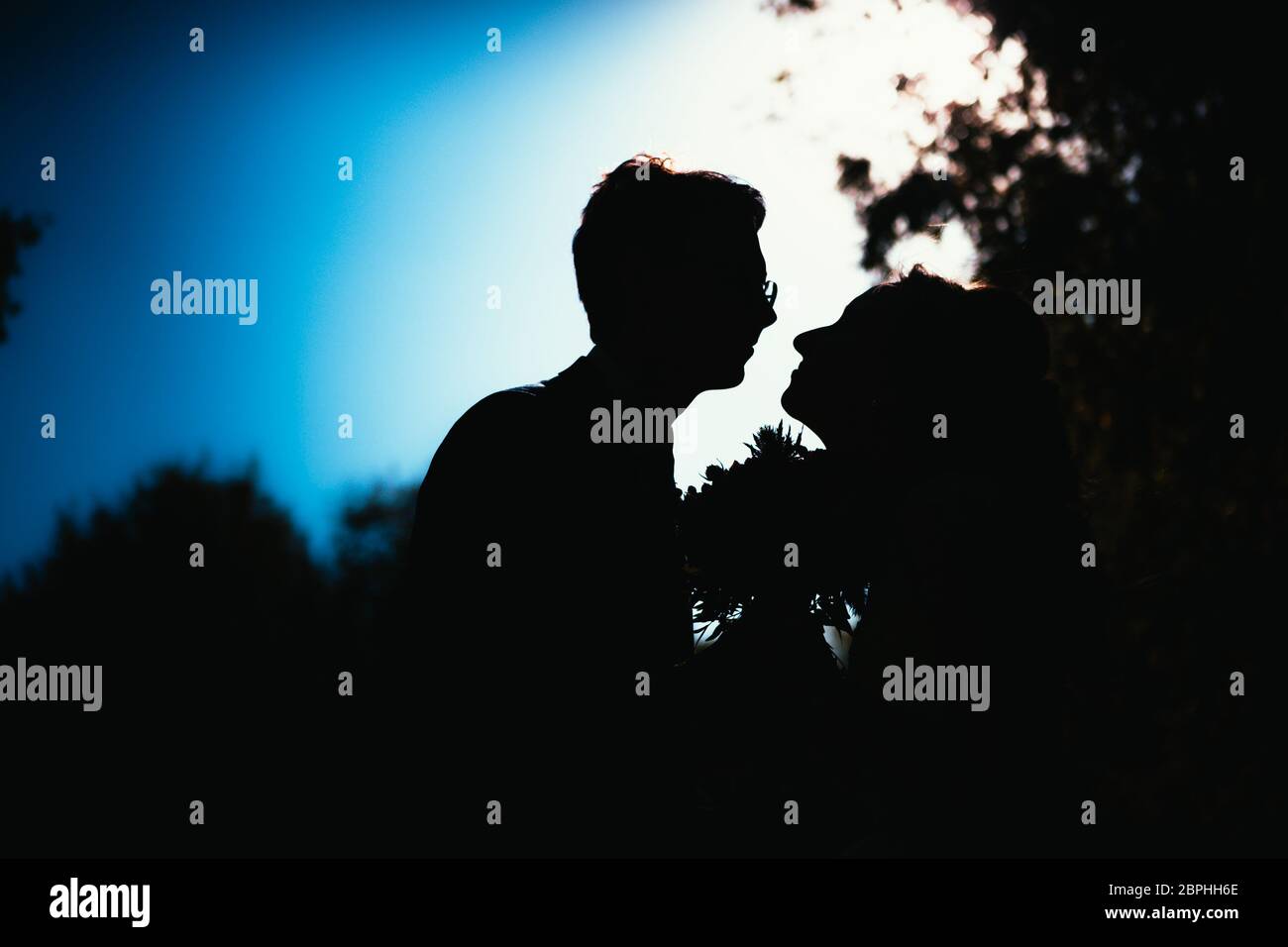 bride and groom silhouettes on the background of the sky park Stock ...