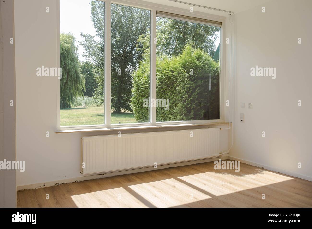 Empty white room with hardwood parquet floor, big window and walls and sunlight from window, With a beautiful green forest nature view modern house Stock Photo