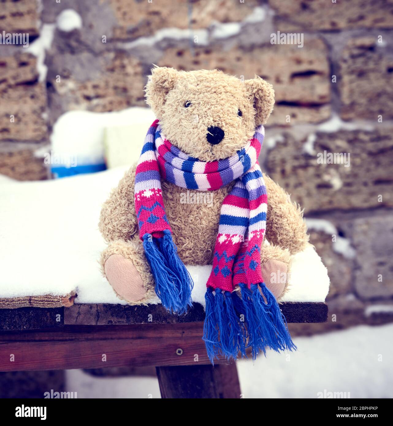 Teddy bear sits outside hi-res stock photography and images - Alamy