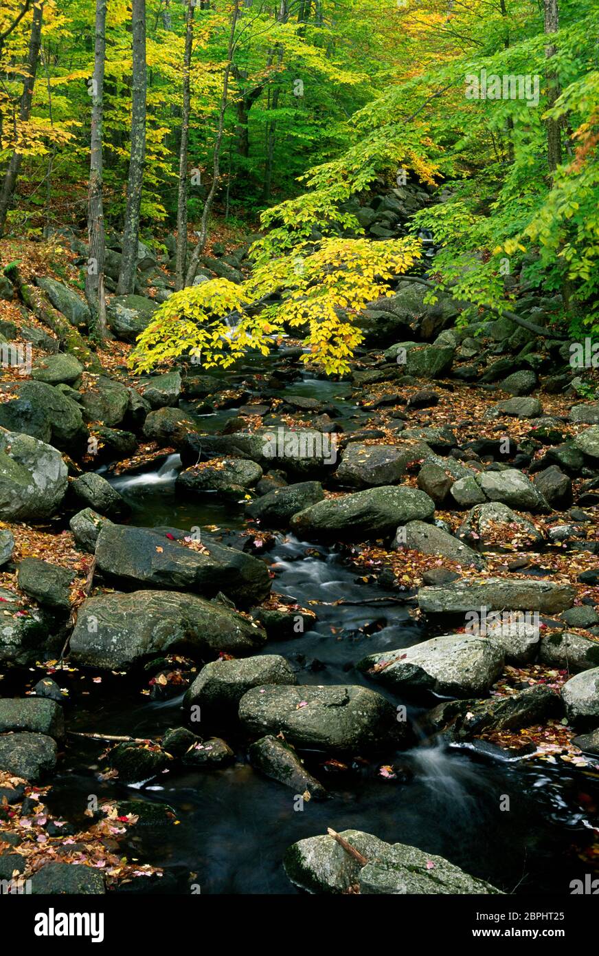 Big Black Brook, White Rocks National Recreation Area, Green Mountain National Forest, Vermont