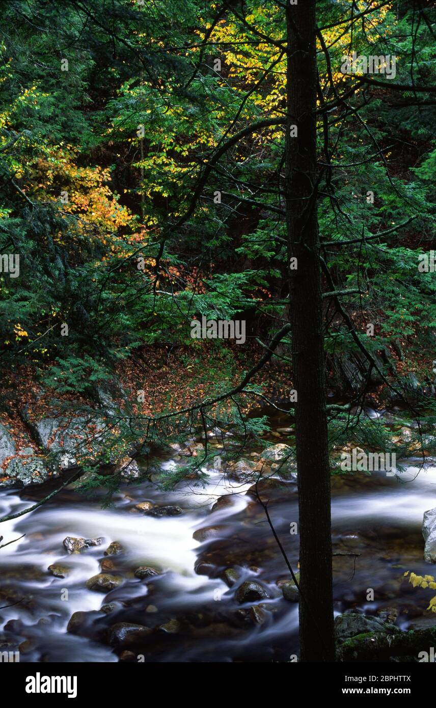 Middlebury River, Green Mountain National Forest, Vermont Stock Photo Alamy