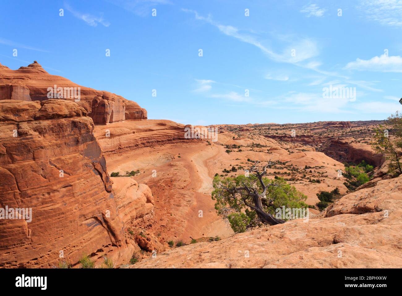 Utah Famous Rocks Panorama from Utah. Famous delicate arch. Red rocks canyon, geological ...