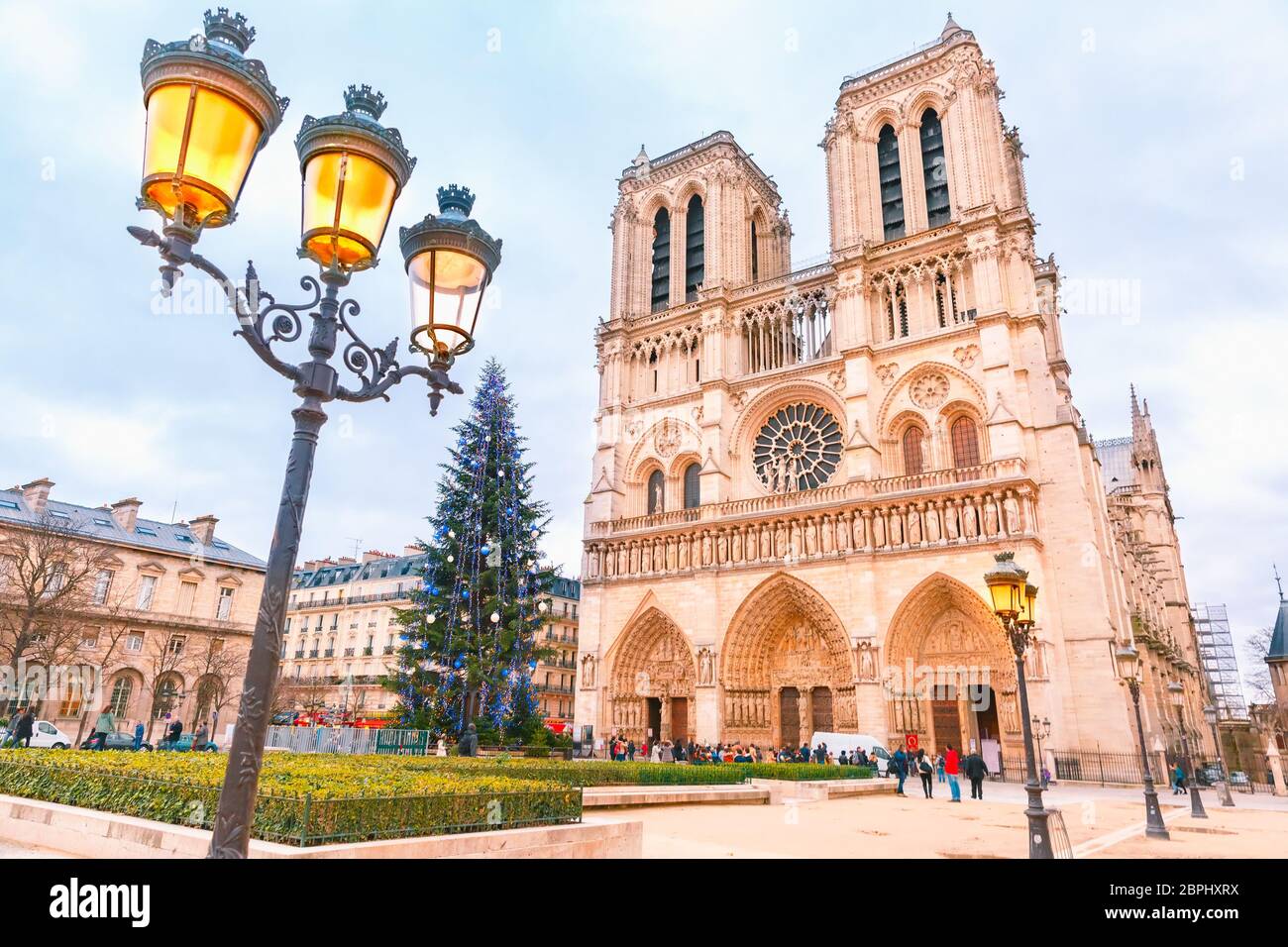 The Christmas tree in front of main west facade of Cathedral of Notre Dame de Paris, France