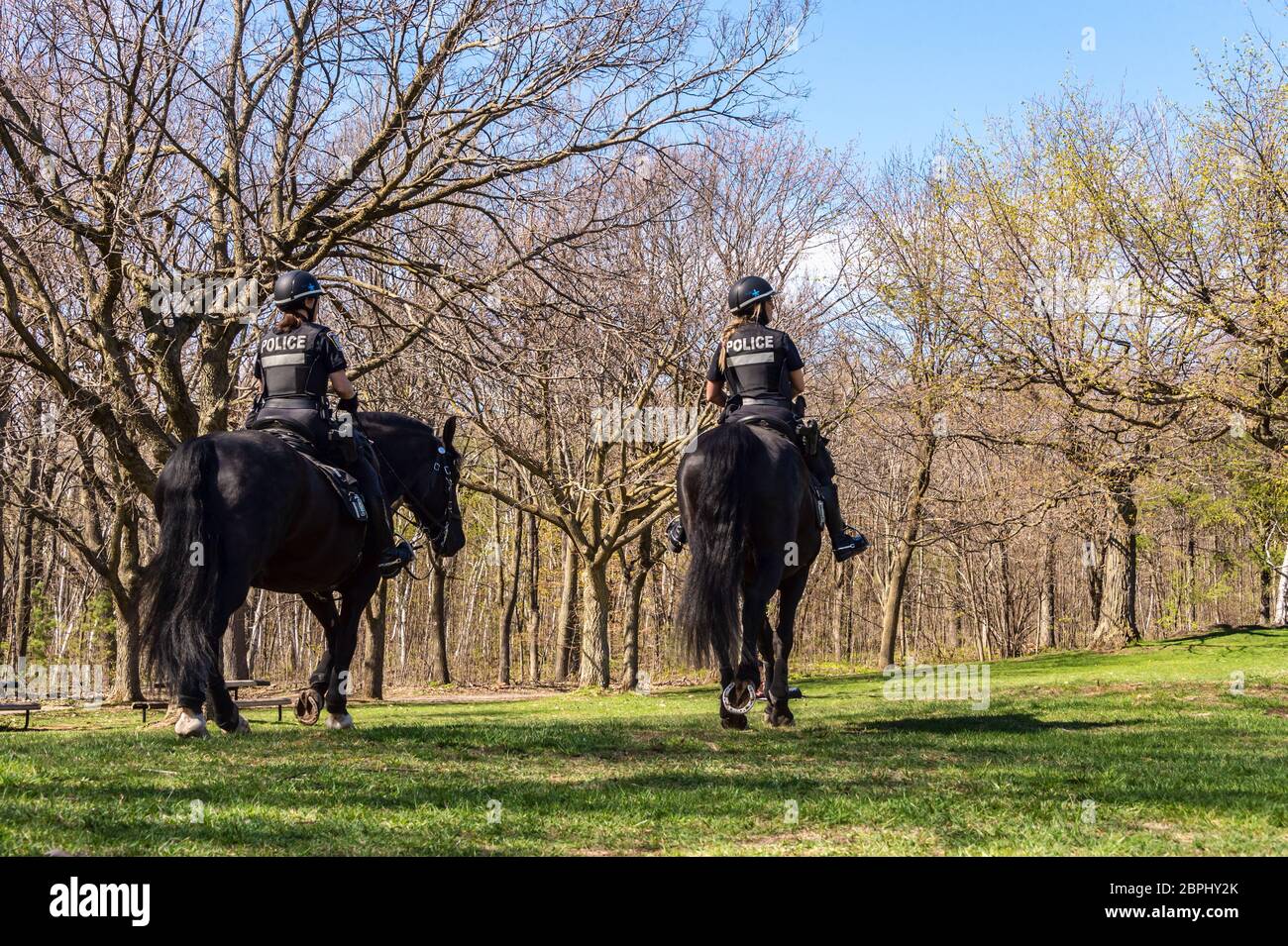 Montreal, CA - 18 May 2020: Horse Mounted Police in Mount Royal Park Stock Photo