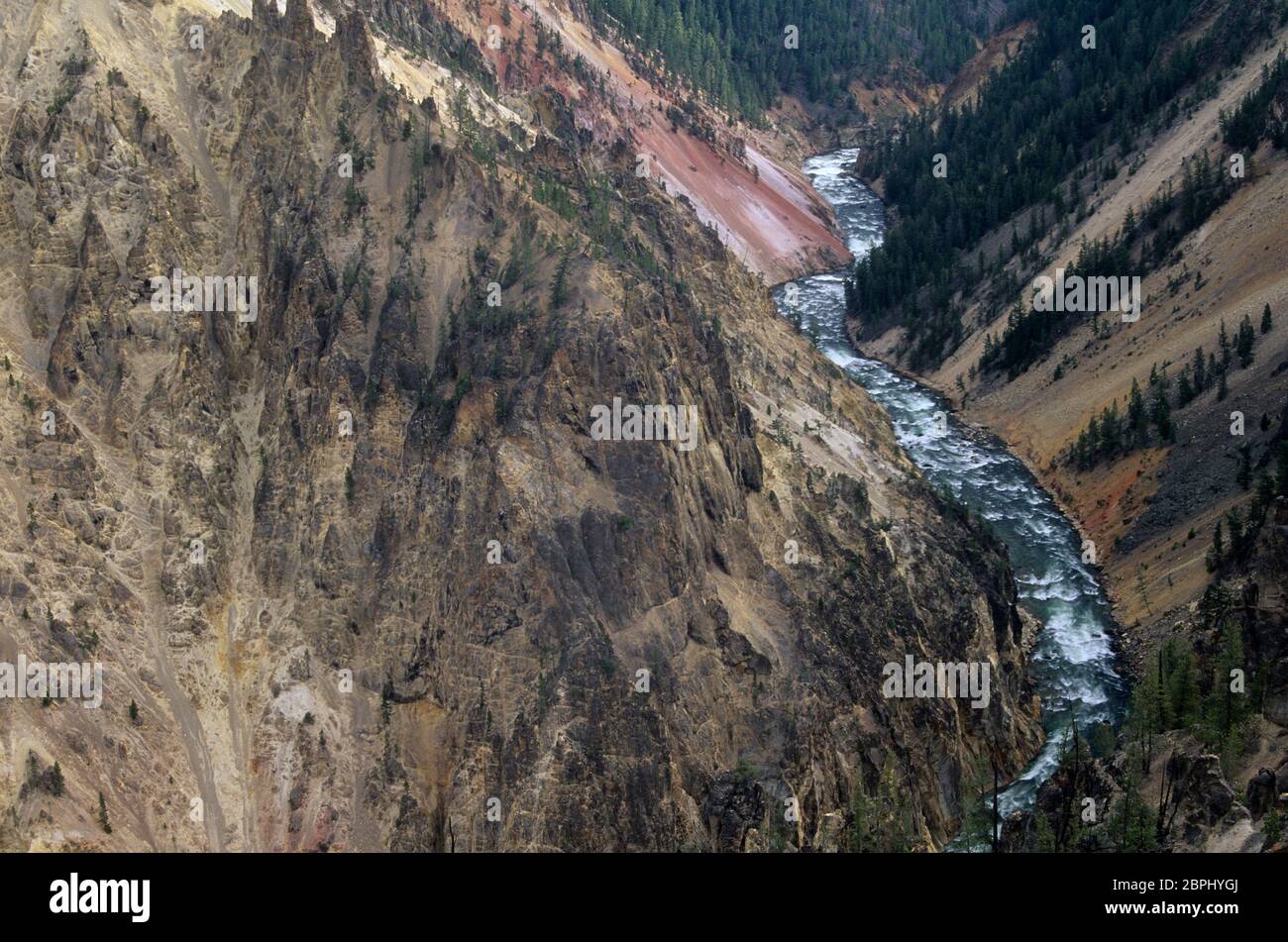Grand Canyon of the Yellowstone from South Rim Trail, Yellowstone National Park, WY Stock Photo