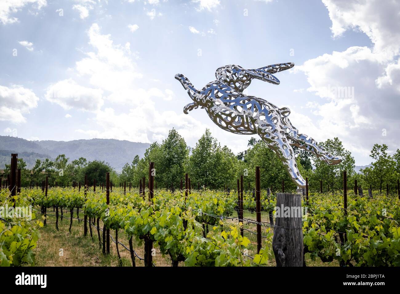 HALL Wines St. Helena Napa Valley, California Stock Photo Alamy