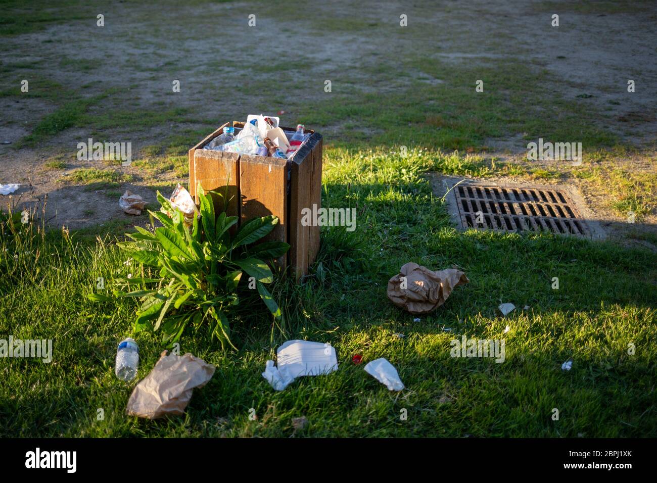 Overloaded trash container with plastic on grass, garbage dump in