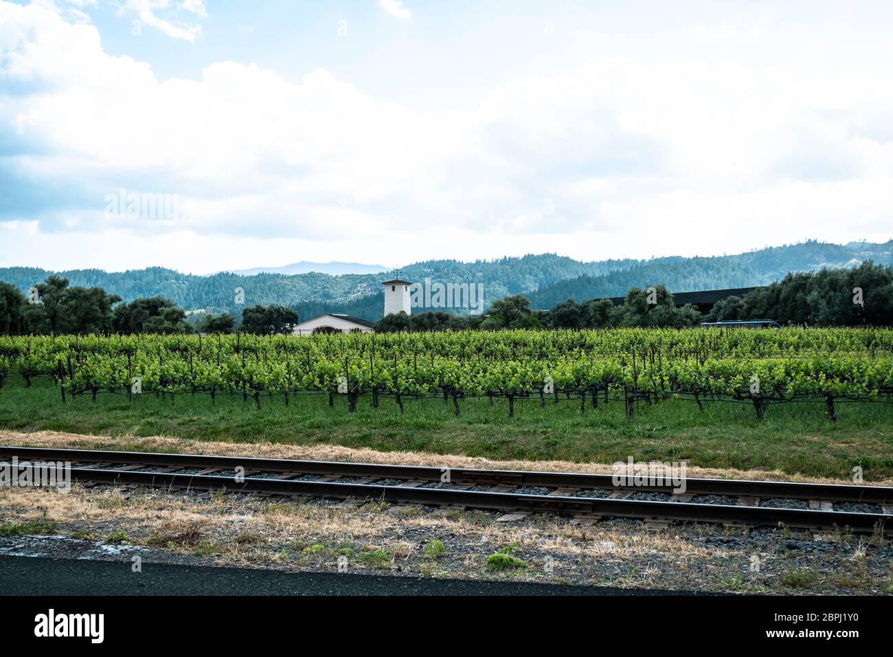 HALL Wines St. Helena Napa Valley, California Stock Photo Alamy
