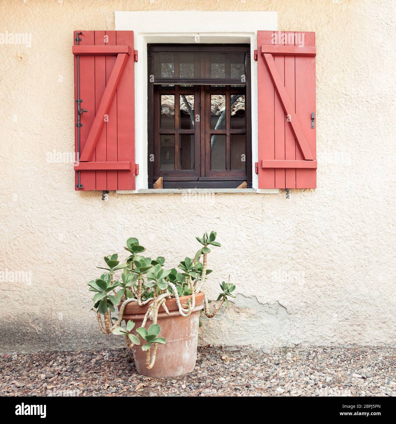 Old wooden home window with open shutters and tropical palnt in flower pot, front view outdoor picture Stock Photo